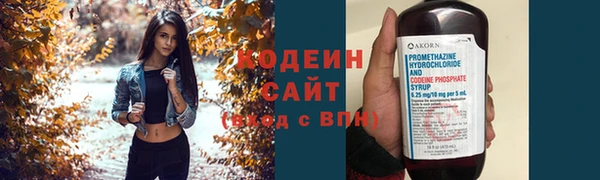 СК Волоколамск