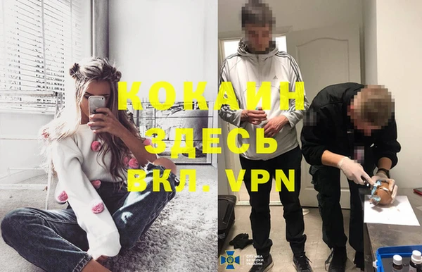 винт Верея