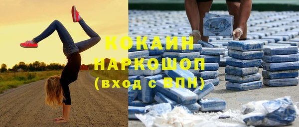 винт Верея