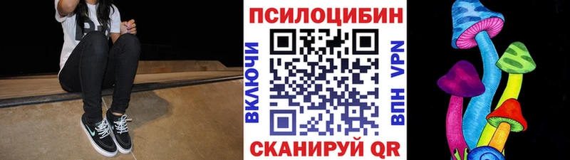 Псилоцибиновые грибы Magic Shrooms  ОМГ ОМГ ССЫЛКА  Качканар 
